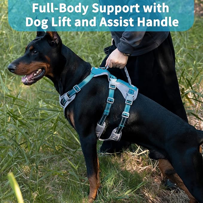Huntboo Reflective Dog Harness with Handle, Escape Proof, No Slip, Breathable, Lightweight, Adjustable Lift Harness for Small, Medium, and Large Dogs Walking, Training, and Running Gear(Teal Blue,XS)
