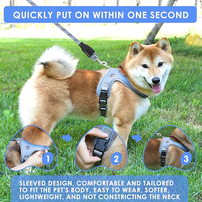 Dog Harness and Leash Set, No Pull Saddle Style Pet Harness, Breathable Mesh Adjustable Reflective Dog Vest for Dogs and Cat Medium Small Harness 2 D-Rings (Blue, XS)