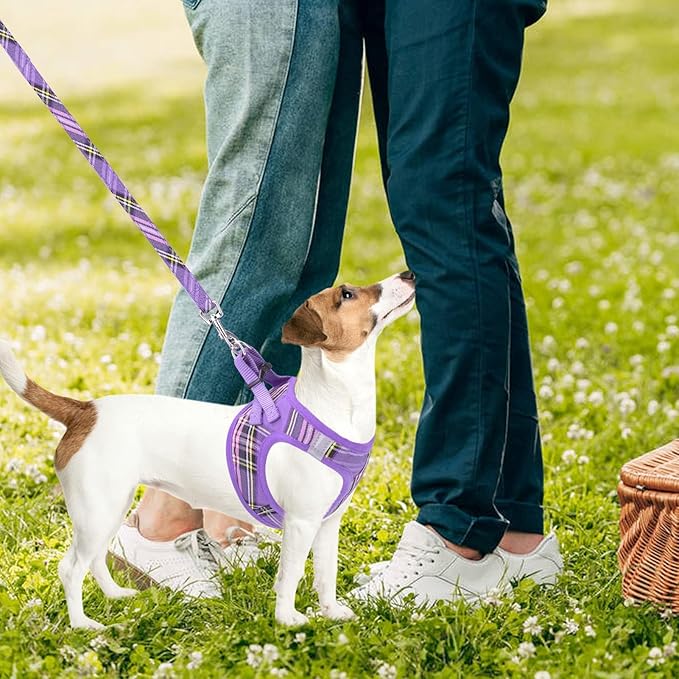 PUPTECK Adjustable Dog Harness Collar and Leash Set Step in No Pull Pet Harness for Small Medium Dogs Puppy and Cats Outdoor Walking Running, Soft Mesh Padded Reflective Vest Harnesses, Purple XL