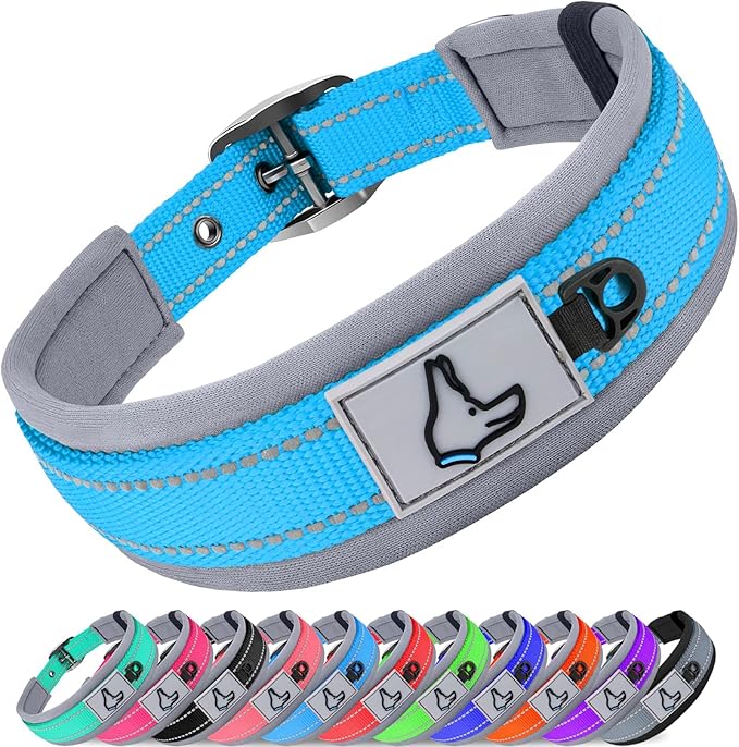 Joytale Dog Collar for Medium Dogs, Neoprene Padded and Adjustable, Reflective Wide Heavy Duty Pet Collars with Durable Metal Belt Buckle for Walking, Sky Blue, M