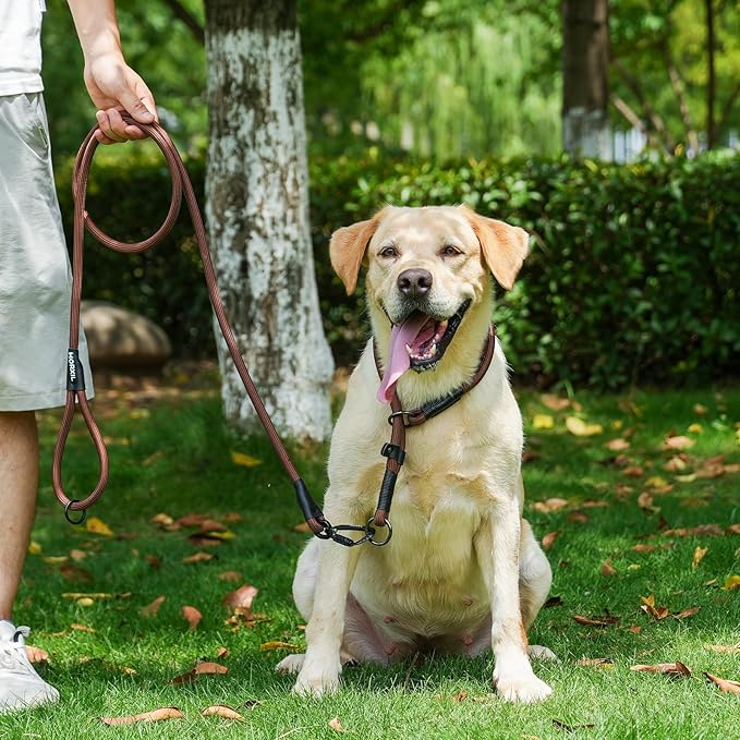 Rope Dog Leash with Two Handles, 6 Foot Heavy Duty Dog Leash with Aviation Aluminum Auto Locking Carabiner, Strong Nylon Pet Lead for Small, Medium, Large Dogs (Brown, 6FT-Two Handle)