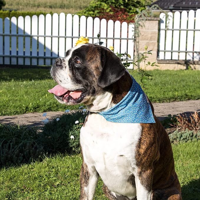 Pettsie Adjustable Dog Bandana Collar with Matching Owner Friendship Bracelet – Soft & Durable Hemp, Stylish Removable Scarf for Dogs, Gift-Ready Set for Pet Lovers, Medium, Blue