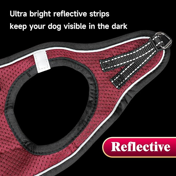 YIMEIS Dog Harness and Leash Set, No Pull Soft Mesh Pet Harness, Reflective Adjustable Puppy Vest for Small Medium Large Dogs, Cats (Grape Purple, Small (Pack of 1)