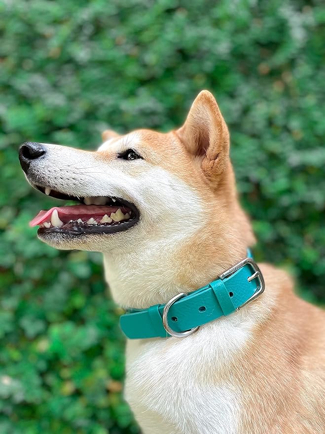 Tuff Pupper Classic Heavy Duty Dog Collar | 10x Stronger Than Leather | 100% Waterproof & Odor Proof Dog Collar | Tough Rust-Proof All Metal Hardware