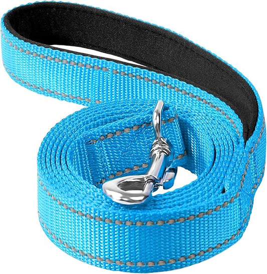 Reflective Dog Leash 4ft Soft Padded Handle Nylon Lead for Small & Medium Dogs, Durable Walking Training Leash for Night Safety (SkyBlue,3/4Inch Wide)
