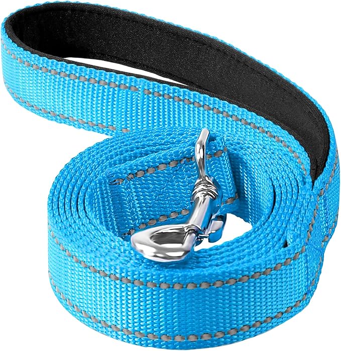 Reflective Dog Leash 6ft Soft Padded Handle Nylon Lead for Medium & Large Dogs, Durable Walking Training Leash for Night Safety (SkyBlue,1Inch Wide)