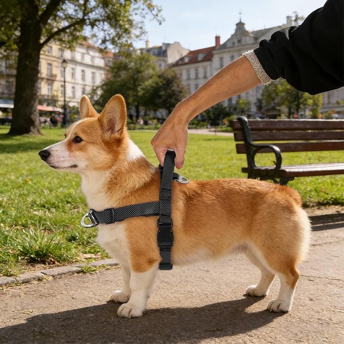 Annchwool No Pull Dog Harness with Front Clip and Easy Control Handle-Belly & Chest Adjustable Dog Harness and Leash Set for Small Medium Dogs-Heavy Duty Vest Harnesses Easy for Walking(Black,S)