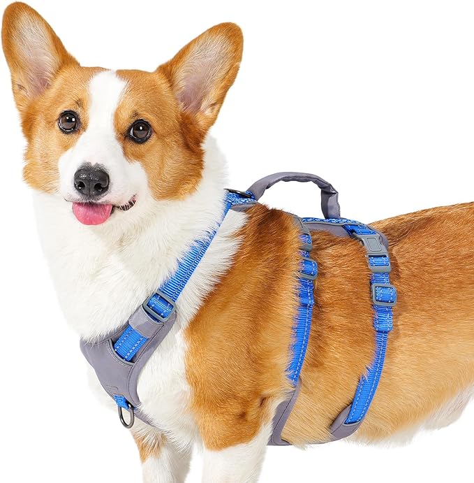 Huntboo Reflective Dog Harness with Handle, Escape Proof, No Slip, Breathable, Lightweight, Adjustable Lift Harness for Small, Medium, and Large Dogs Walking, Training, and Running Gear(Sea Blue,M)
