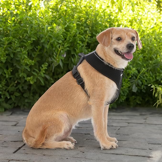 Voyager Aerolite Over The Head Dog Harness, No Pull Breathable Air Mesh Vest, Quick Dry with Reflective Stitching, Adjustable Escape Resistant Harness for Small Medium Large Dogs - Black, Medium