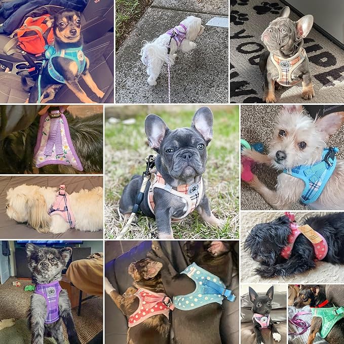 BEAUTYZOO Step in Dog Harness and Leash Set,Floral Pattern Reflective Dog Harness No Pull No Choke Puppy Harness for Small Medium Large Dogs Cats,Soft Padded Mesh Vest Harnesses for Girl and Boy Pets