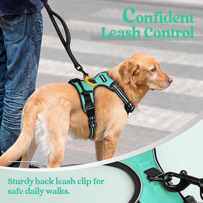 rabbitgoo Dog Harness No Pull with 2 Leash Clips, Adjustable Soft Padded, Reflective Oxford No Choke Pet Vest with Easy Control Handle for Small Dogs, Turquoise, S