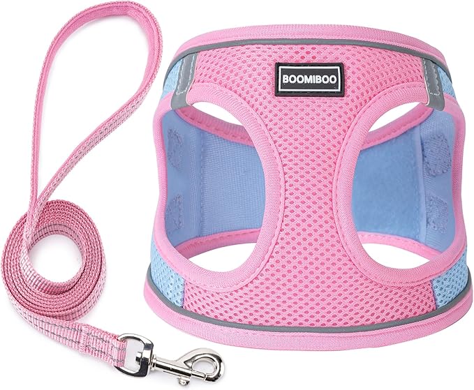 Dog Harness with Leash Set, No Pull Adjustable Reflective Step-in Puppy Pet Vest Harnesses for Small Medium Large Dogs and Cats,Pink Green L