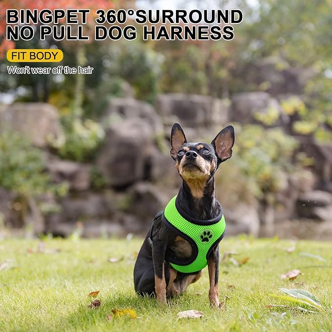 BINGPET No Pull Dog Harness,Soft Mesh Breathable All Weather Vest Harness,Safety Protection Design Durable Adjustable Step-in Easy Walk Dog Harness for Small Medium Large Dogs(Green,XS)