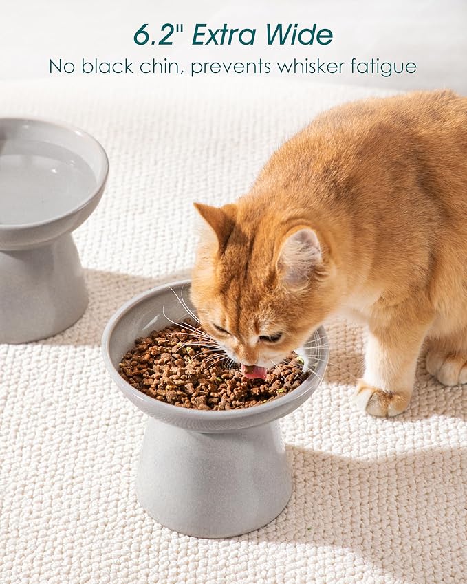 vancasso Ceramic Elevated Cat Bowls 2-Pack - 6.2" Extra Wide Raised Cat Food & Water Dishes, 5.1" Optimal Height Anti-Whisker Fatigue Shallow Bowls for Cats/Kittens/Dogs, Lead & Cadmium Free (Grey)