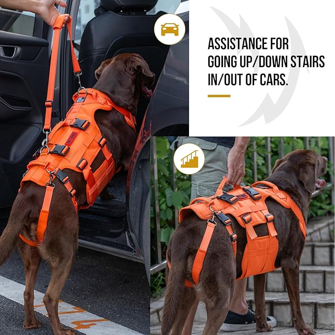 OneTigris Dog Lift Harness for Large Dogs, Dog Hip Support Brace, Full Body Dogs Lifter with Handles Invictus Multifunctional Mobility Assistance Vest for Back Legs