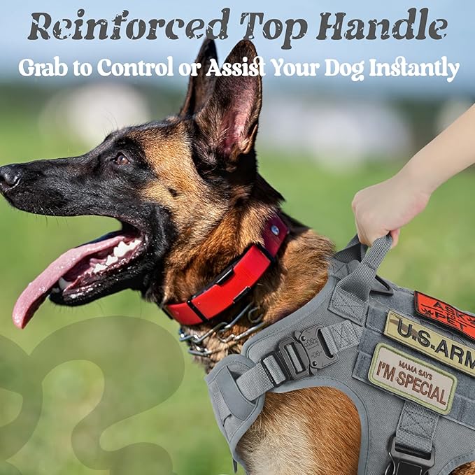 rabbitgoo Tactical Dog Harness for Large, Heavy Duty Pet Harness with Handle, No-Pull Service Vest Large Breed, Adjustable Military Dog Vest for Training Hunting Walking, Grey, XL
