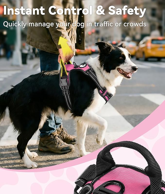 Joytale No Pull Dog Harness for Small Dogs, Reflective Pet Vest with Front Clip, Adjustable Soft Padded Harnesses with Easy Control Handle for Training and Walking, Pink, S