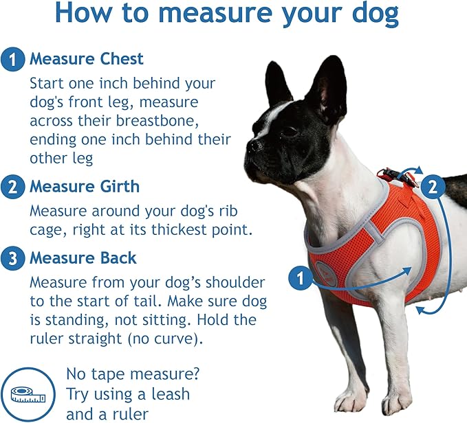 DOCO No Pull Dog Harness for Large Dogs | Adjustable Choke-Free Dog Vest with Breathable Air Mesh | Lightweight & Reflective for Training & Daily Walks – Red, Medium (Chest 16–17 in, 10–15 lbs)