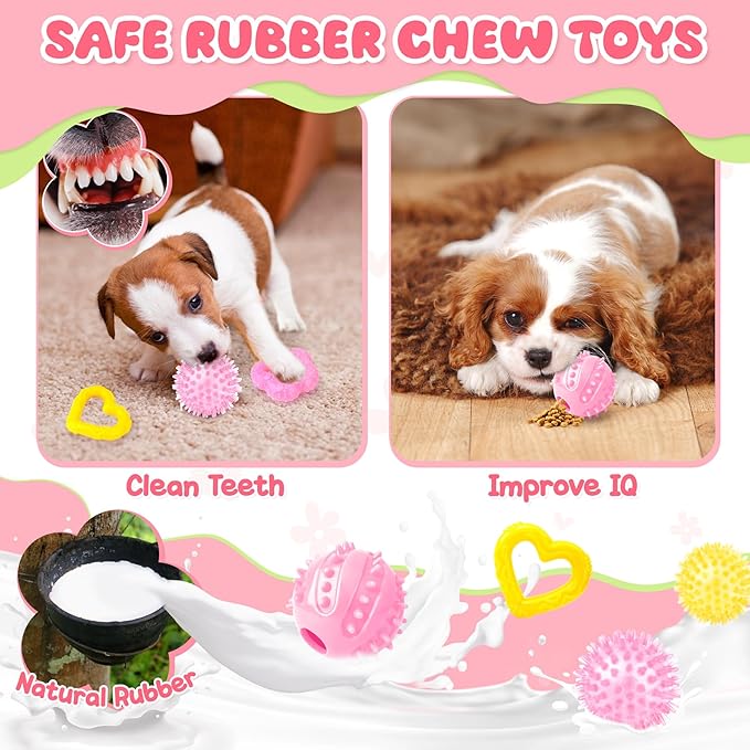 Zeaxuie 23 Pack Pink Puppy Toys for Teething, Small Dog Toys with Cute Puppy Chew Toys, Squeaky Dog Toys, Treat Ball and Interactive Rope Toys