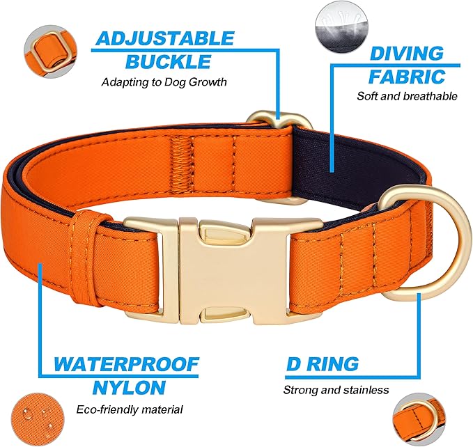 Didog Soft Padded Dog Collar for Large Dogs, Colorful and Durable Pet Collar with Quick Release Buckle, Light and Breathable for Daily Walking, Orange, L