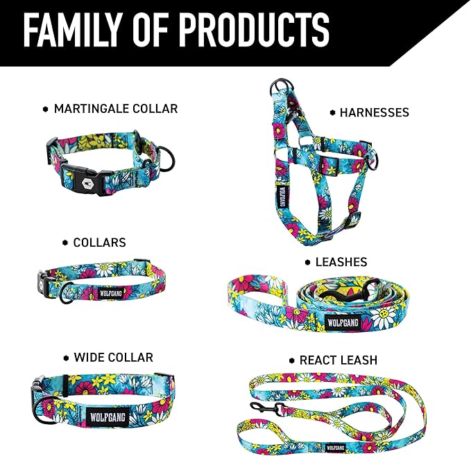 Wolfgang Heavy Duty, Adjustable Dog Collar with Quick Release Nylon Buckle for Walking & Training, LazyDaisy Print, Large