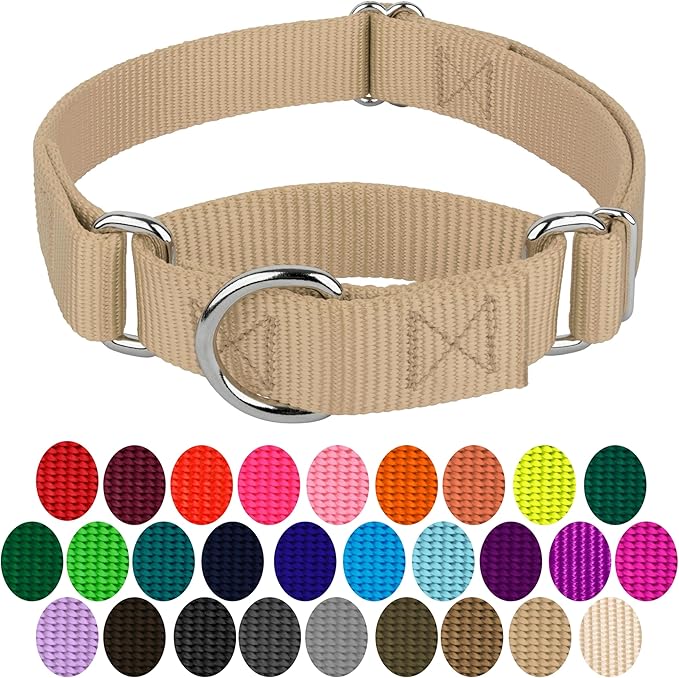 Country Brook Petz - Martingale Dog Collar - Heavy-Duty Training Collar with No Buckle - Service Dog Collar for All Pups - 10+ Warm Colors (Copper Gold, 3/8 Inch, 2XS)
