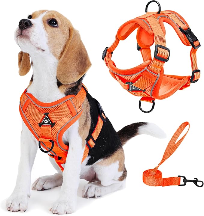 No Pull Dog Harness with Leash Set for Medium Sized Dog, Reflective Adjustable No Choke Front Clip Cat Vest Harness with Breathable Mesh, Comfortable Soft Padded Pet Vest, Orange XL