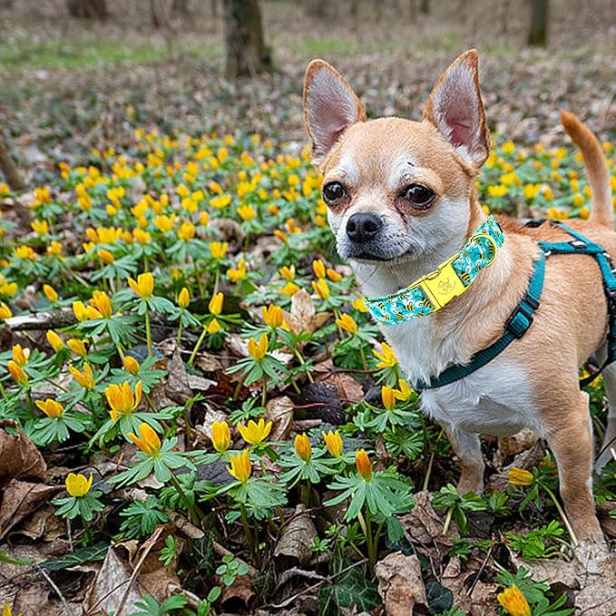 Elegant little tail Dog Collar, Summer Pet Collar Dog Durable Bees Print Dog Collars Girl or Boy Soft Pet Gift Adjustable Dog Collar for Small Medium Large Dogs