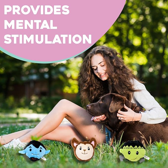 Flourish Pets 2 in 1 Halloween Pack of 3 Multi-Layer Chew Toy for Active Dogs | Non-Toxic BPA Free Double Stitched Soft Fabric and Long-Lasting Dog Plush Toys-Dracula, Frankenstein and Werewolf 3.5"