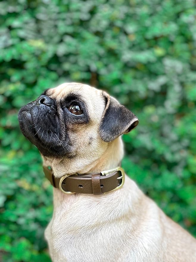 Tuff Pupper Classic Heavy Duty Dog Collar | 10x Stronger Than Leather | 100% Waterproof & Odor Proof Dog Collar | Tough Rust-Proof All Metal Hardware