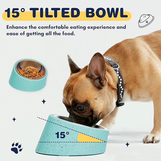 Bzyoo 2 Cup Tilted Dog Bowl with Measuring Scoop for Small Dogs & Cats, Stylish Sprinkle Design, Elevated, Stainless Steel 16oz Inner Bowl, Non-Skid, Help Cotain Spills Color:Green