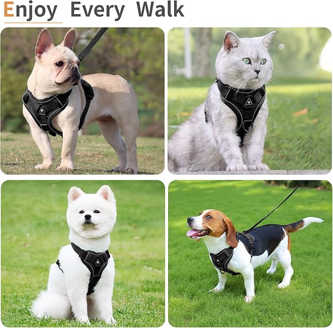 No Pull Dog Harness with Leash Set for Small Sized Dog, Reflective Adjustable No Choke Front Clip Cat Vest Harness with Breathable Mesh, Comfortable Soft Padded Pet Vest, Black M
