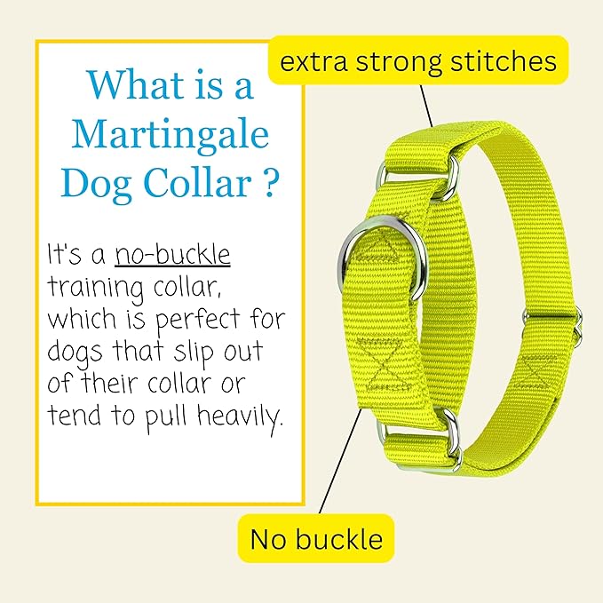 Country Brook Petz - Martingale Dog Collar - Heavy-Duty Training Collar with No Buckle - Service Dog Collar for All Pups - 10+ Warm Colors (Hot Yellow, 3/8 Inch, 2XS)
