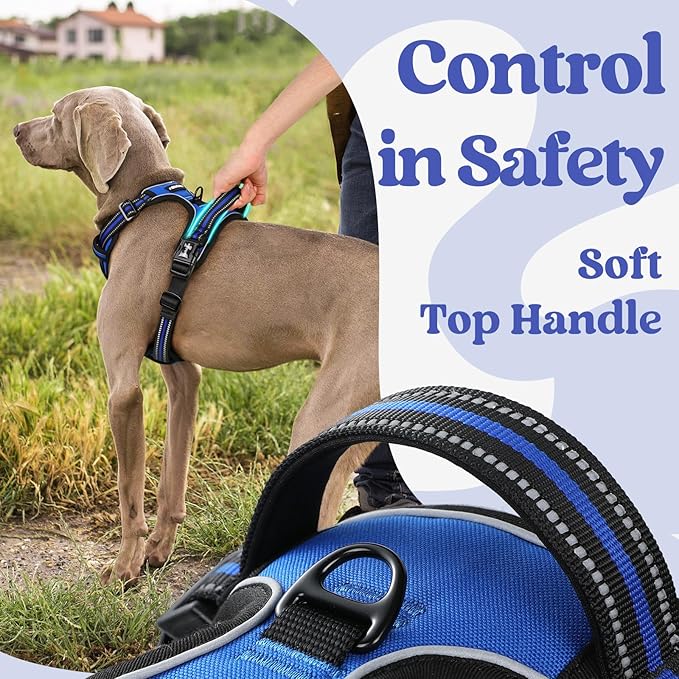 rabbitgoo Dog Harness Medium Sized, No Pull Pet Harness with 3 Buckles, Adjustable Soft Padded Vest with Control Handle, Walking Reflective Pet Vest for Medium Dogs, Blue, M