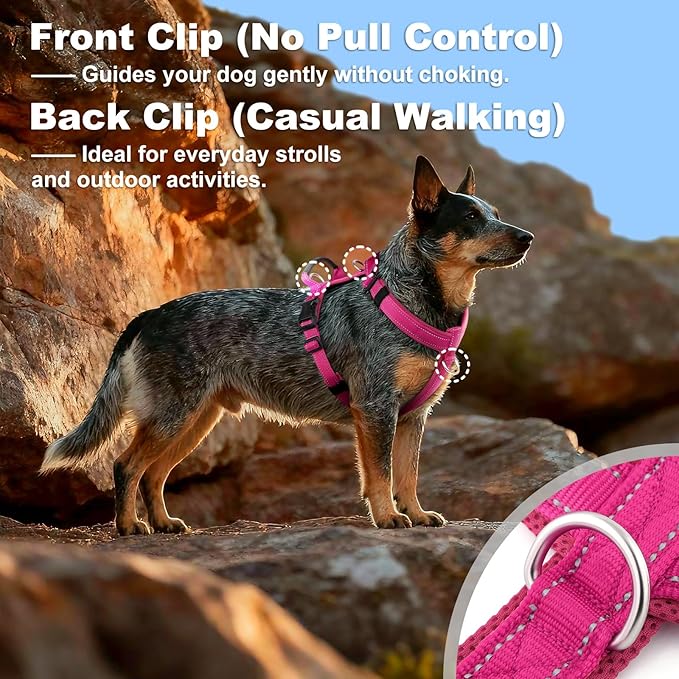 No Pull Dog Harness with Handle, Soft Mesh Padded Adjustable for Small Medium Large Dogs | Reflective Easy Walk Harness with Front Clip for Training, Running & Outdoor (Hot Pink, XL)