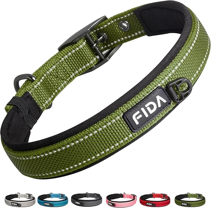 Fida Heavy Duty Dog Collar, Ultra Comfortable Soft Neoprene Padded, Adjustable Reflective Nylon Pet Collar with Durable Metal Belt Buckle for Small Breeds (S, Green)