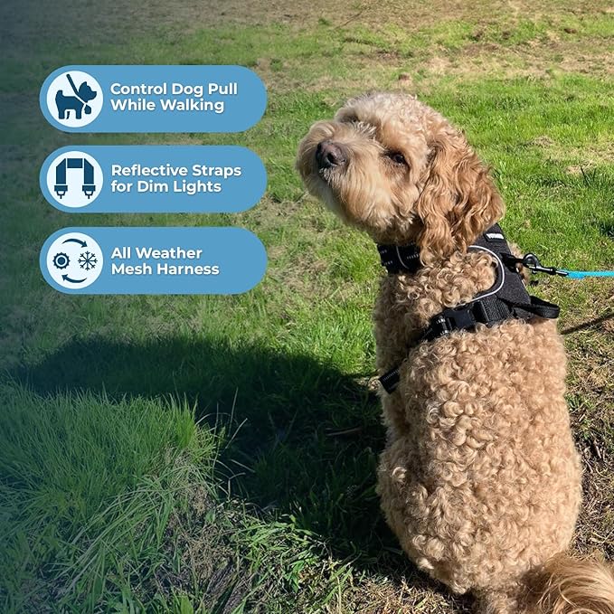 Voyager Dog Harness Dual Leash Attachment No-Pull Control Adjustable Soft but Strong Pet Harness for Medium and Large Dogs with 3M Reflective Technology, Leash Set Black Nylon, XL (Chest: 28-37")