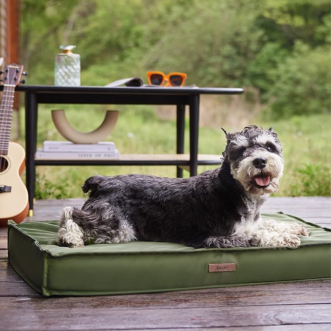 LE SURE Waterproof Dog Bed Cover Replacement Washable - Medium Size for Pet Mat 30x20x3 Inches, Green