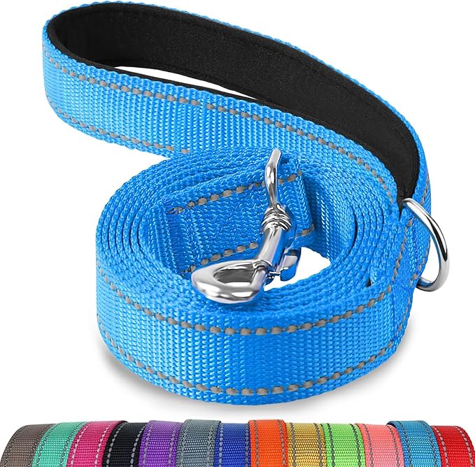 Joytale Dog Leash Heavy Duty for Large Medium Dogs, 6 FT Reflective Nylon Pet Walking Lead with Soft Padded Handle, Durable & Tangle Free for Training, Running & Safety Control, Sky Blue