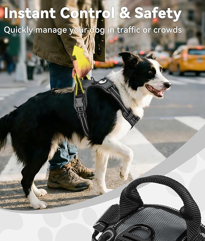 Joytale No Pull Dog Harness for Small Dogs, Reflective Pet Vest with Front Clip, Adjustable Soft Padded Harnesses with Easy Control Handle for Training and Walking, Gray, S
