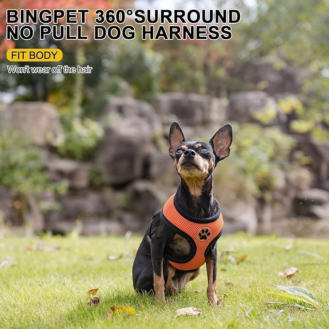 BINGPET No Pull Dog Harness,Soft Mesh Breathable All Weather Vest Harness,Safety Protection Design Durable Adjustable Step-in Easy Walk Dog Harness for Small Medium Large Dogs(Orange,S)