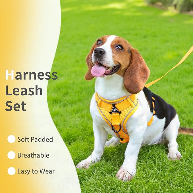 No Pull Dog Harness with Leash Set for Small Sized Dog, Reflective Adjustable No Choke Front Clip Cat Vest Harness with Breathable Mesh, Comfortable Soft Padded Pet Vest, Yellow M