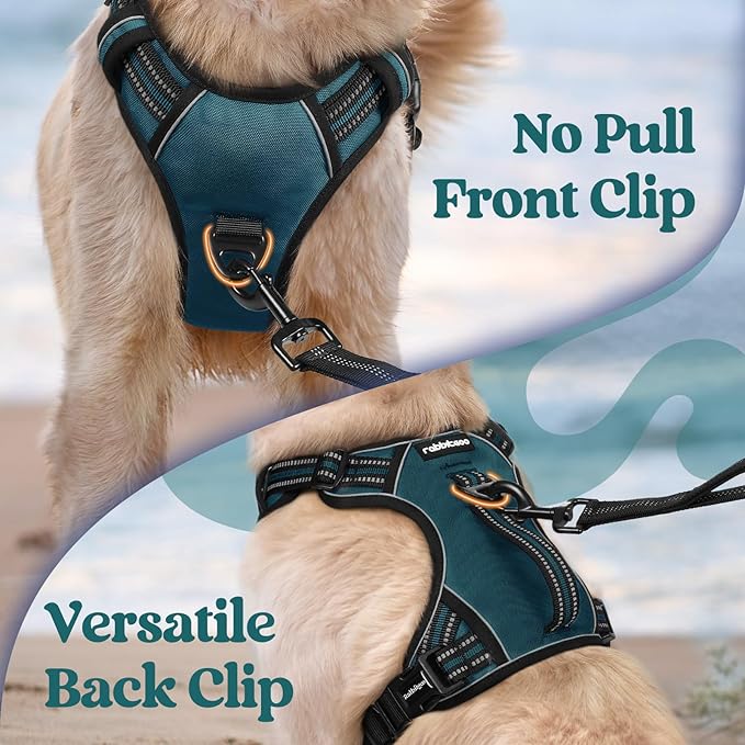 rabbitgoo Dog Harness for Large Dogs, No Pull Pet Harness with Soft Padded Handle, Adjustable Reflective Vest with 3 Buckles, Easy Walking Harness with 2 Leash Clips, Green, L