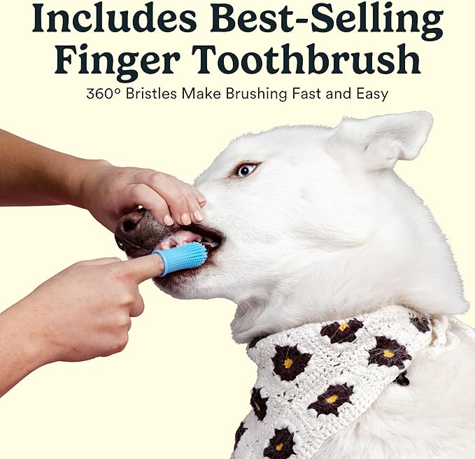 Jasper Dog Tooth Brushing Kit and Dog Toothpaste Kit with Dog Toothbrush Enzymatic, Plaque Remover Imporves Bad Breath Natural Pet Toothpaste Dog Toothbrush and Toothpaste 2 oz Bacon Flavor