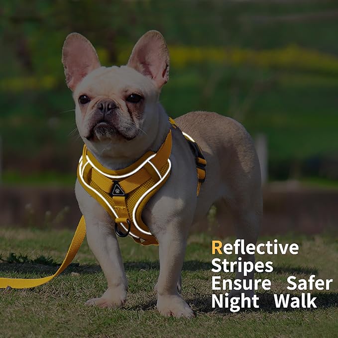 No Pull Dog Harness with Leash Set for Medium Sized Dog, Reflective Adjustable No Choke Front Clip Cat Vest Harness with Breathable Mesh, Comfortable Soft Padded Pet Vest, Yellow XL