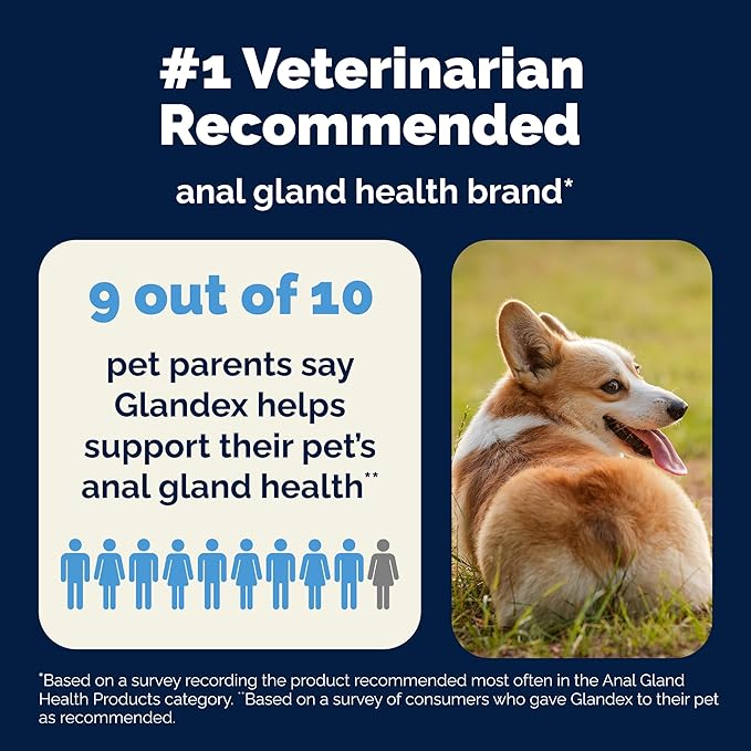 Vetnique Glandex Anal Gland Soft Chew Treats with Pumpkin for Dogs Digestive Enzymes, Probiotics Fiber Supplement for Dogs Boot The Scoot (Advanced Strength Duck/Bacon Chews (Vegetarian), 60 Ct)
