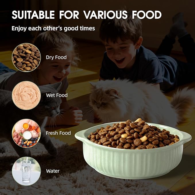 Cat Food Bowl with Handle, 6 inch Ceramic Cat Food and Water Feeder Set, Modern Vertical Texture Design, Kitten Bowls for Indoor Cats and Small Dogs, Microwave Dishwasher Safe, Green - 2 Pack