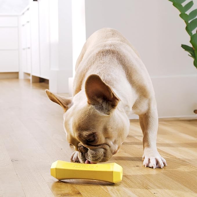 Playology Dog Toys | Durable Squeaky Chew Stick for Dogs | Medium Chicken Scented Toy - Easy to Clean and Made from Non Toxic Materials