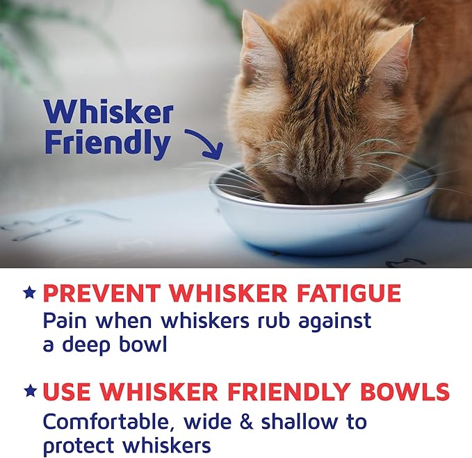 Stainless Steel Cat Bowls for Food & Water by Americat – Made in USA – Dishwasher Safe, Human Grade, Whisker Friendly Dishes (2 Bowls)