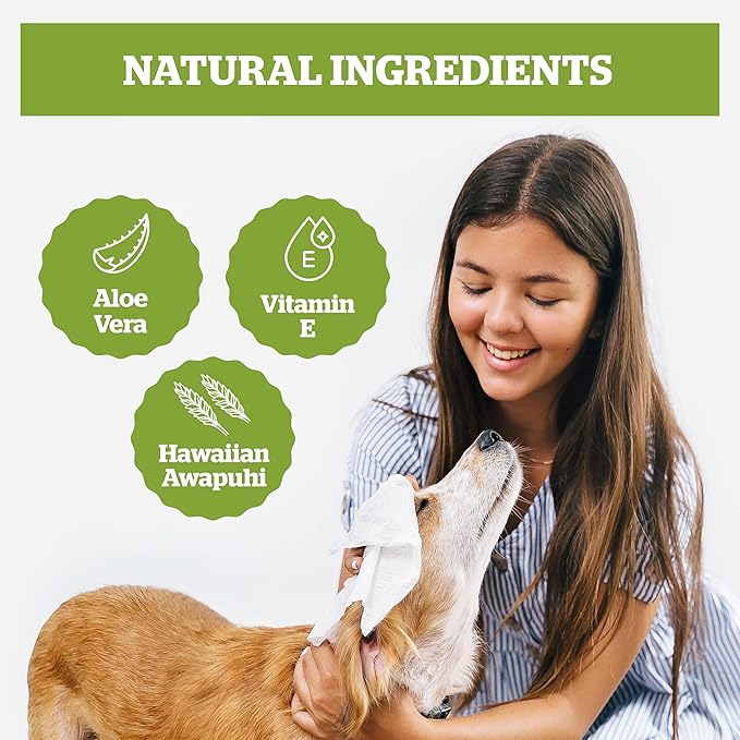 Pogi’s Dog Wipes Travel Packs – Hypoallergenic Pet Wipes for Paws, Body & Butt – Cleaning & Hydrating, Green Tea Scent, 120-Count